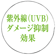 紫外線（UVB）ダメージ抑制効果